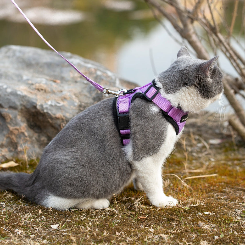 Mr. Peanut's PurrTrek Reflective Cat Harness with Matching Leash by Mr. Peanut's Pet Carriers