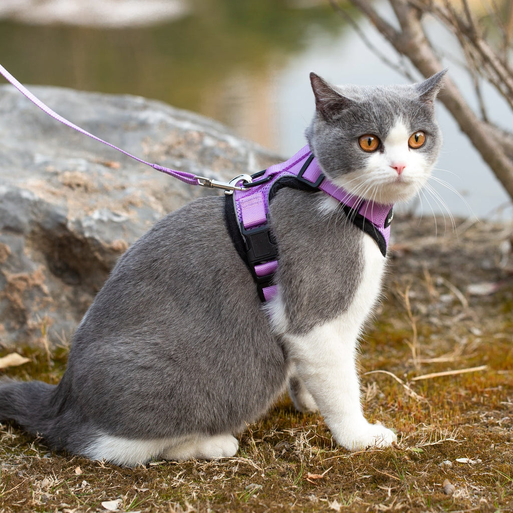 Mr. Peanut's PurrTrek Reflective Cat Harness with Matching Leash by Mr. Peanut's Pet Carriers