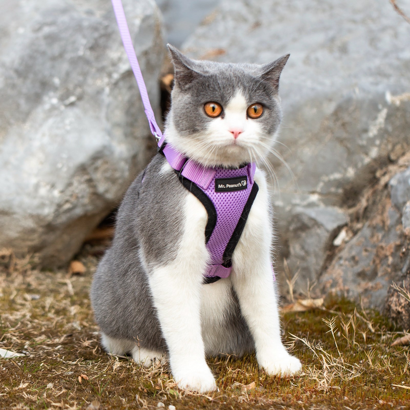 Mr. Peanut's PurrTrek Reflective Cat Harness with Matching Leash by Mr. Peanut's Pet Carriers
