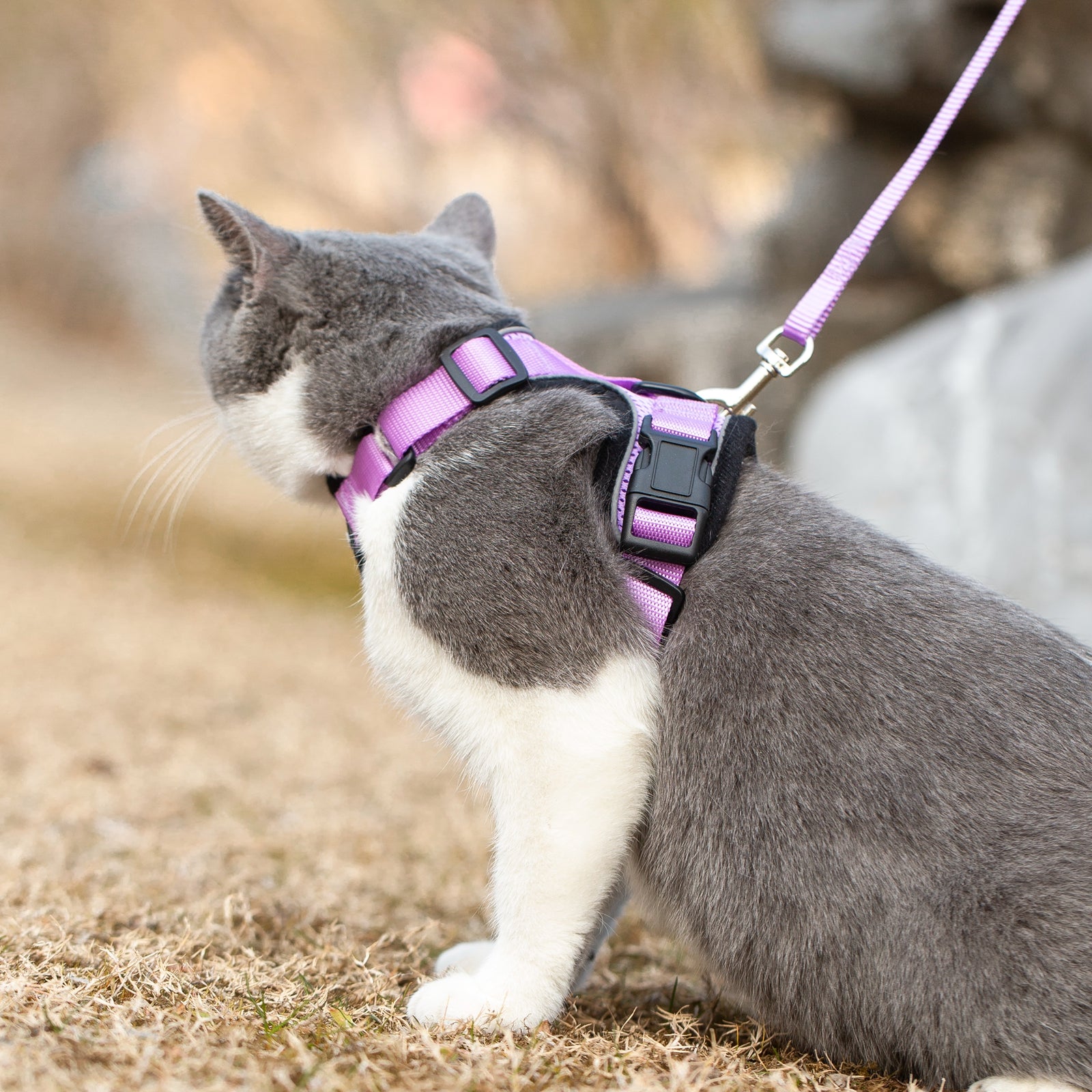 Mr. Peanut's PurrTrek Reflective Cat Harness with Matching Leash by Mr. Peanut's Pet Carriers