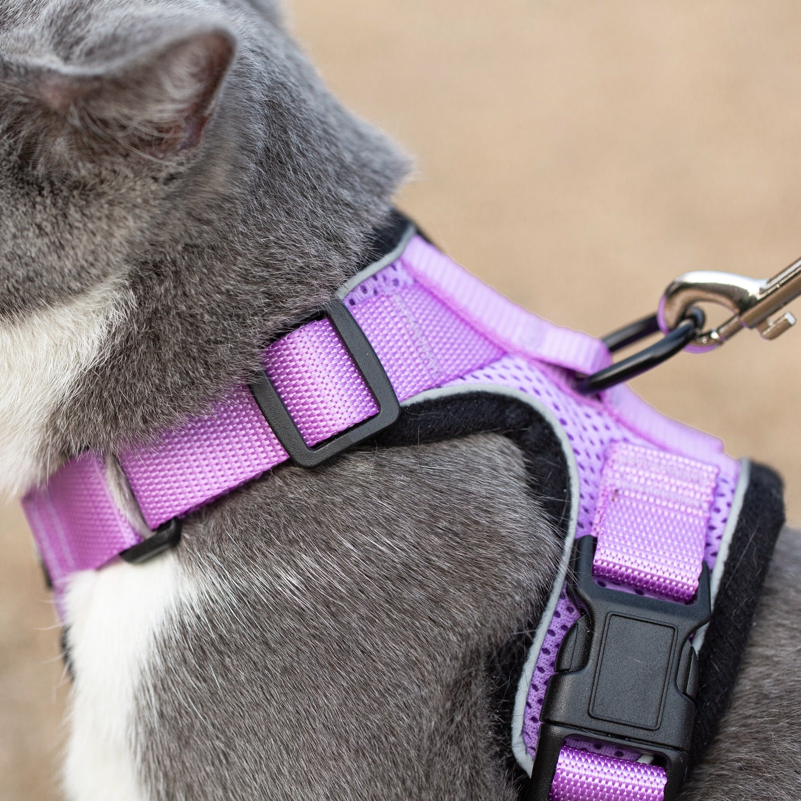 Mr. Peanut's PurrTrek Reflective Cat Harness with Matching Leash by Mr. Peanut's Pet Carriers