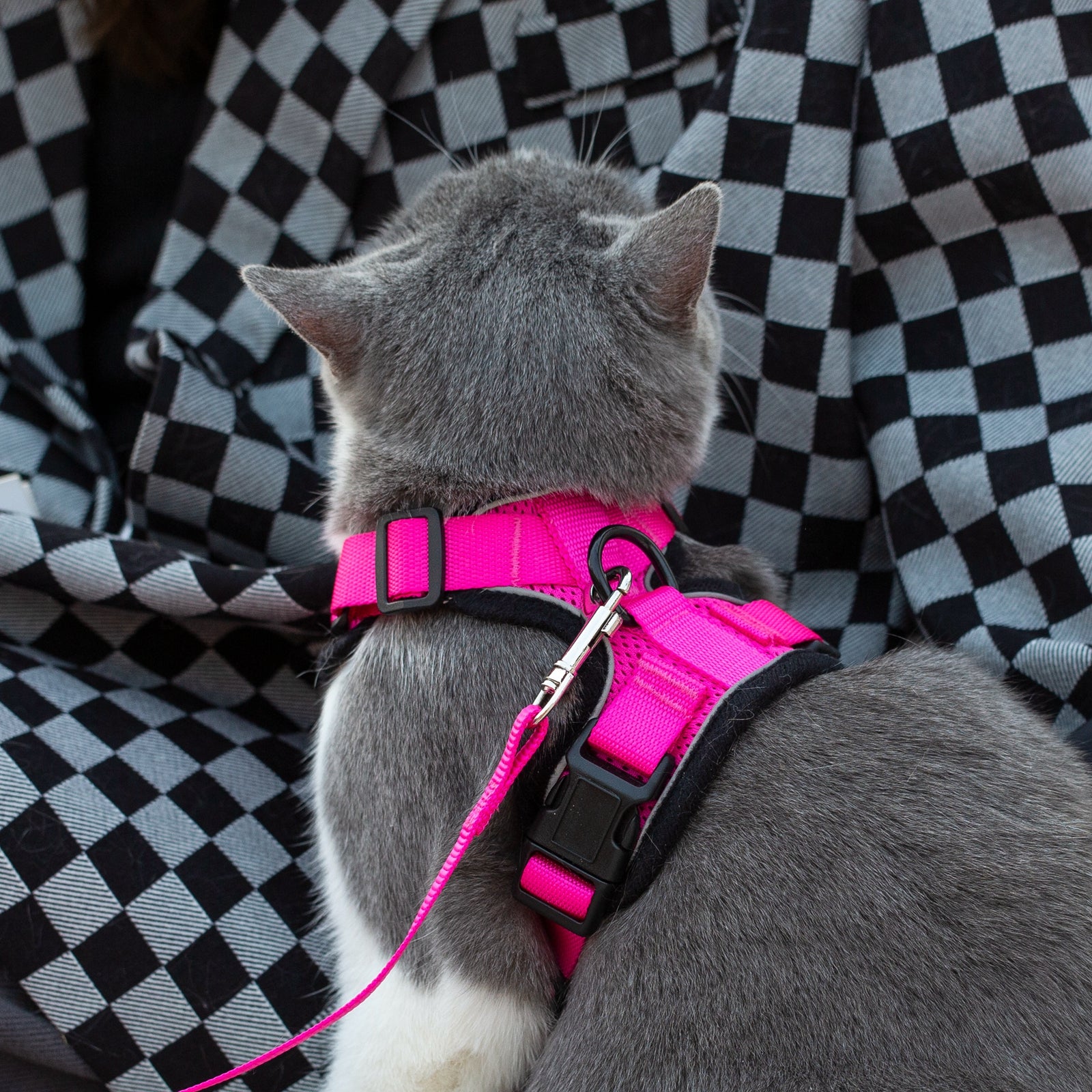 Mr. Peanut's PurrTrek Reflective Cat Harness with Matching Leash by Mr. Peanut's Pet Carriers
