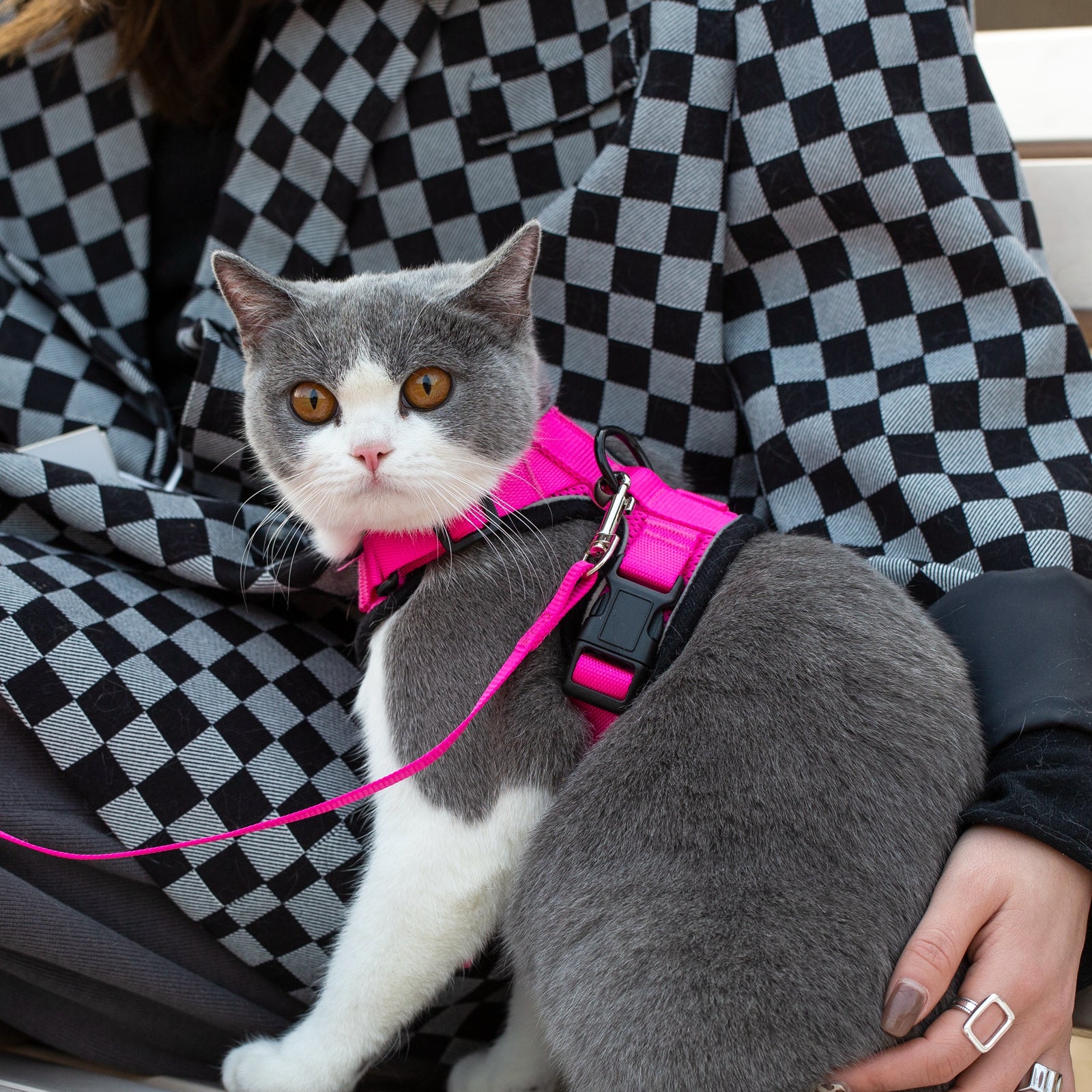Mr. Peanut's PurrTrek Reflective Cat Harness with Matching Leash by Mr. Peanut's Pet Carriers