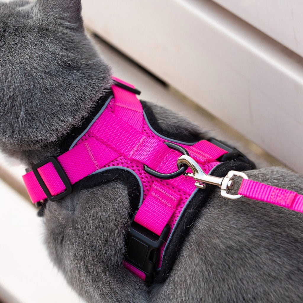 Mr. Peanut's PurrTrek Reflective Cat Harness with Matching Leash by Mr. Peanut's Pet Carriers
