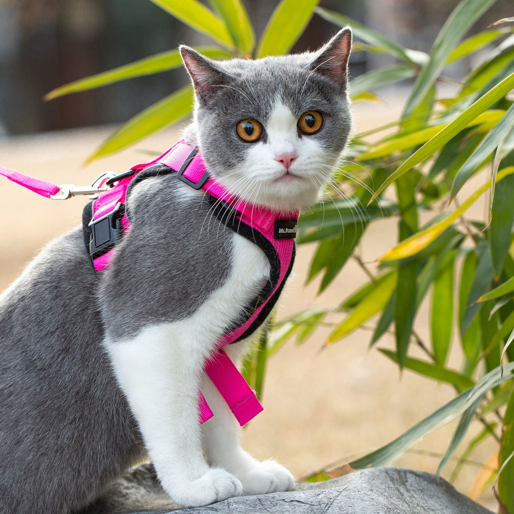 Mr. Peanut's PurrTrek Reflective Cat Harness with Matching Leash by Mr. Peanut's Pet Carriers