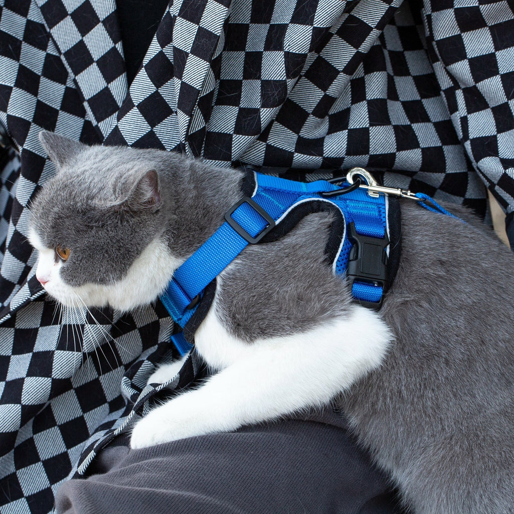Mr. Peanut's PurrTrek Reflective Cat Harness with Matching Leash by Mr. Peanut's Pet Carriers