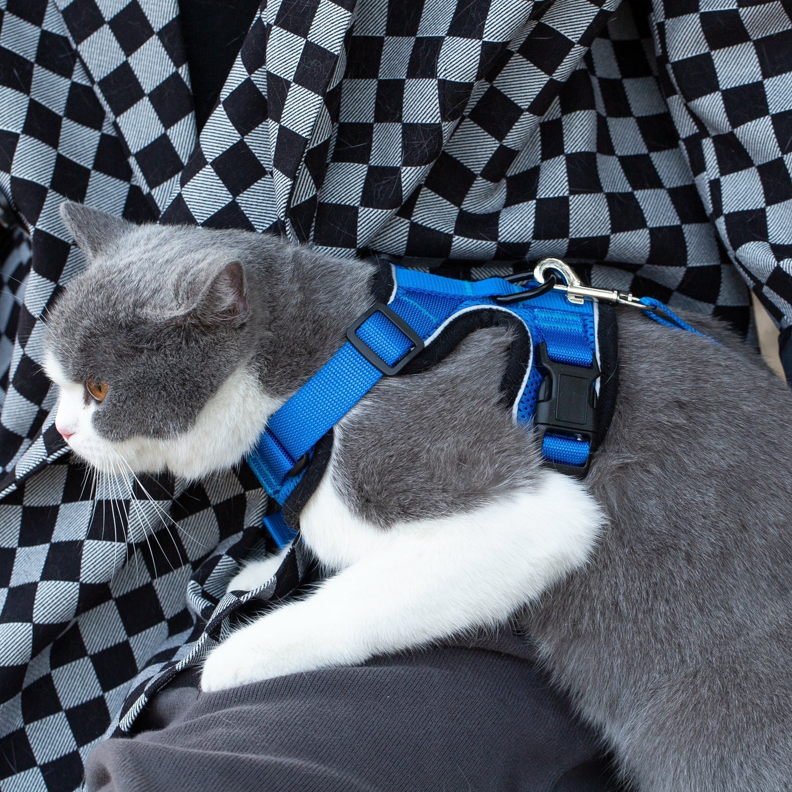 Mr. Peanut's PurrTrek Reflective Cat Harness with Matching Leash by Mr. Peanut's Pet Carriers