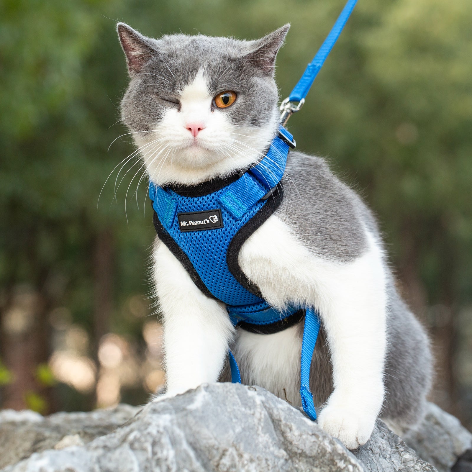 Mr. Peanut's PurrTrek Reflective Cat Harness with Matching Leash by Mr. Peanut's Pet Carriers