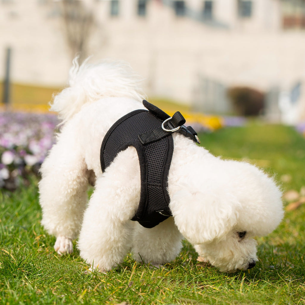 Mr. Peanut's PupTrek Soft Mesh Pet Harness with Matching Leash – Adjustable, Breathable, Choke-Free by Mr. Peanut's Pet Carriers