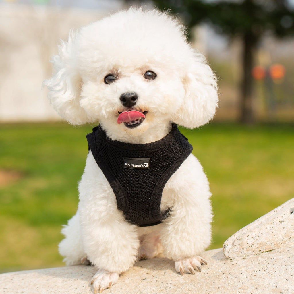 Mr. Peanut's PupTrek Soft Mesh Pet Harness with Matching Leash – Adjustable, Breathable, Choke-Free by Mr. Peanut's Pet Carriers