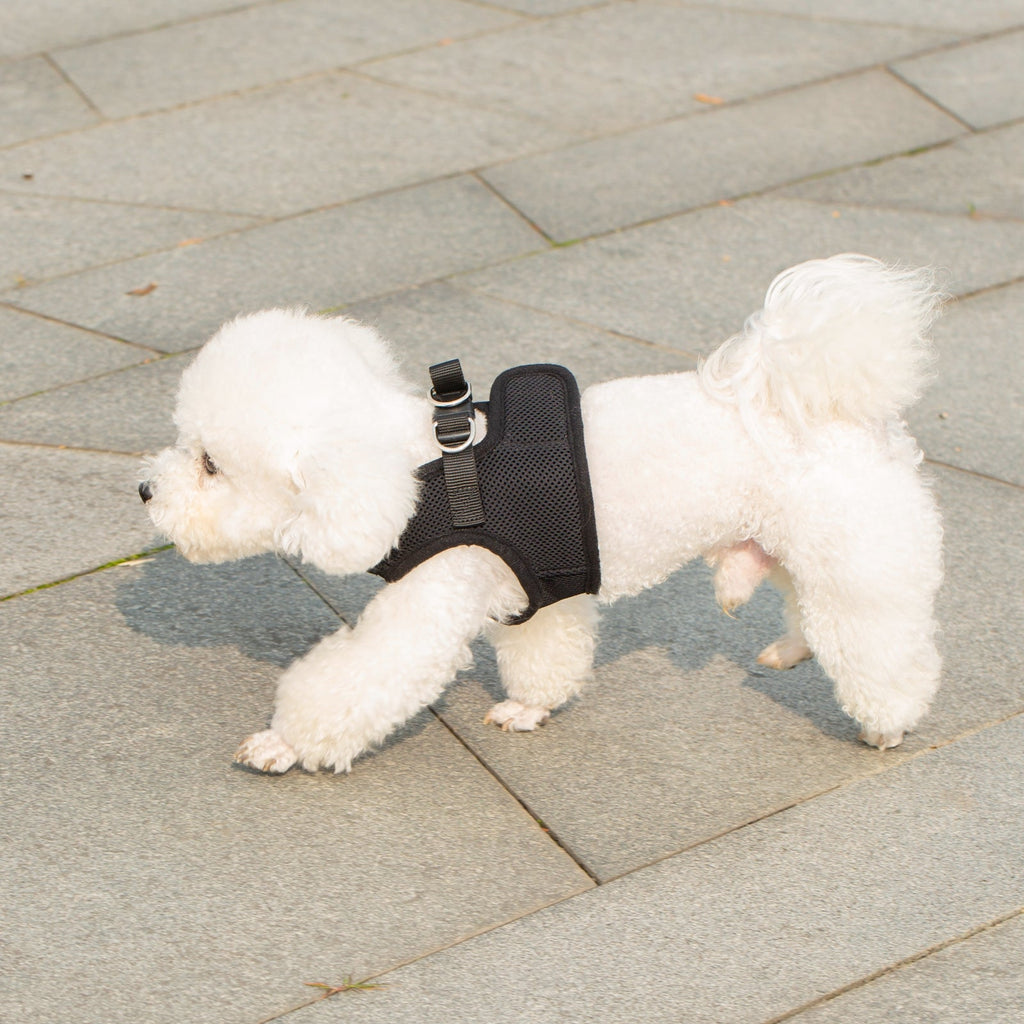 Mr. Peanut's PupTrek Soft Mesh Pet Harness with Matching Leash – Adjustable, Breathable, Choke-Free by Mr. Peanut's Pet Carriers