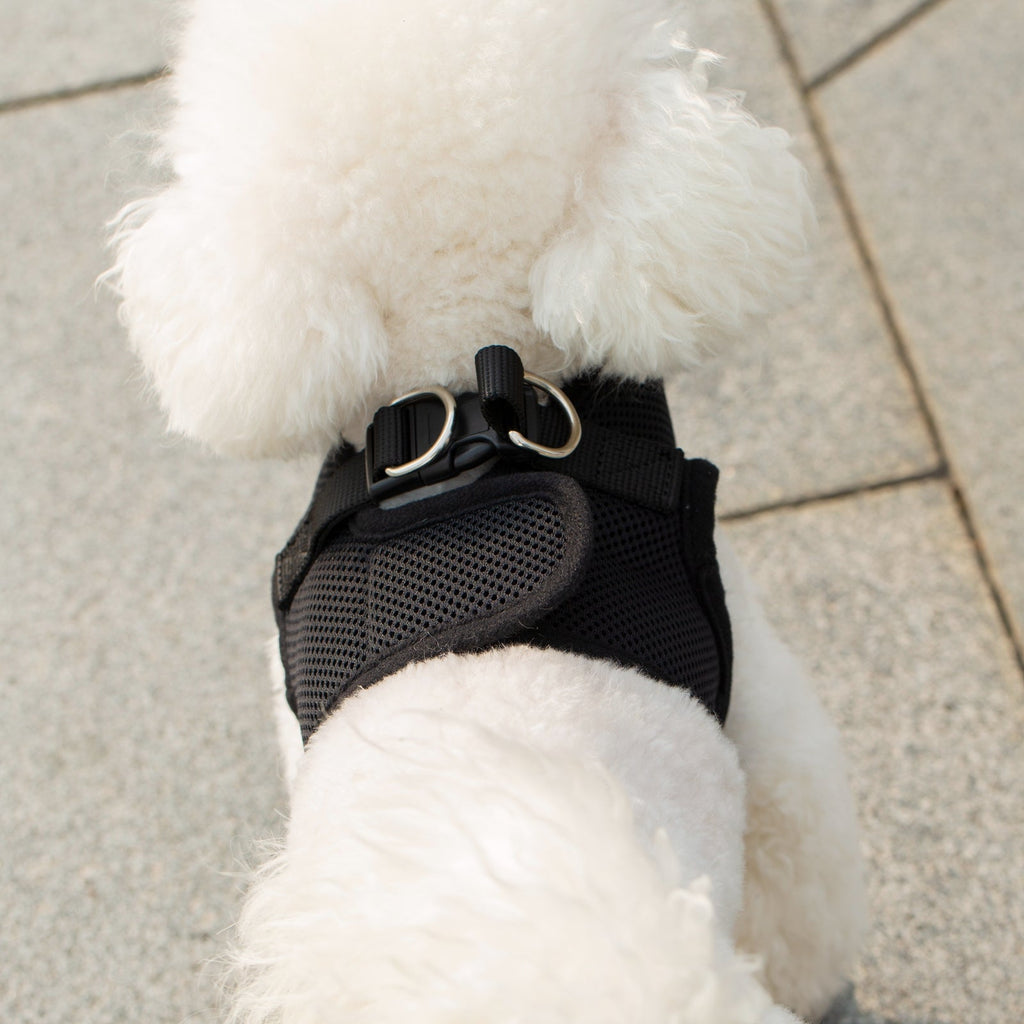 Mr. Peanut's PupTrek Soft Mesh Pet Harness with Matching Leash – Adjustable, Breathable, Choke-Free by Mr. Peanut's Pet Carriers