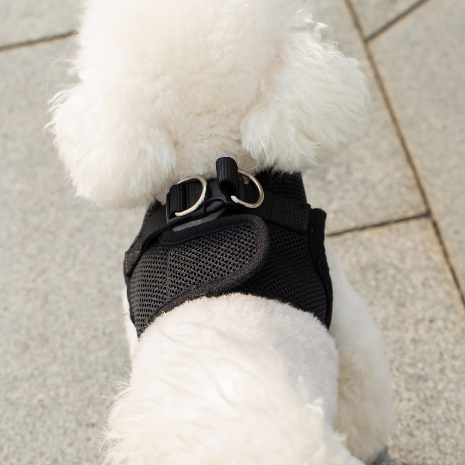 Mr. Peanut's PupTrek Soft Mesh Pet Harness with Matching Leash – Adjustable, Breathable, Choke-Free by Mr. Peanut's Pet Carriers