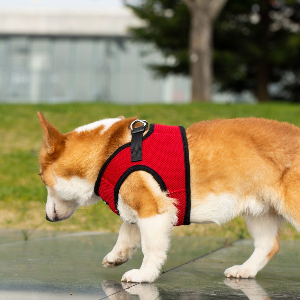 Mr. Peanut's PupTrek Soft Mesh Pet Harness with Matching Leash – Adjustable, Breathable, Choke-Free by Mr. Peanut's Pet Carriers