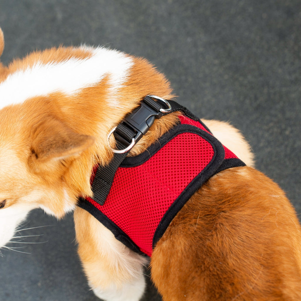 Mr. Peanut's PupTrek Soft Mesh Pet Harness with Matching Leash – Adjustable, Breathable, Choke-Free by Mr. Peanut's Pet Carriers