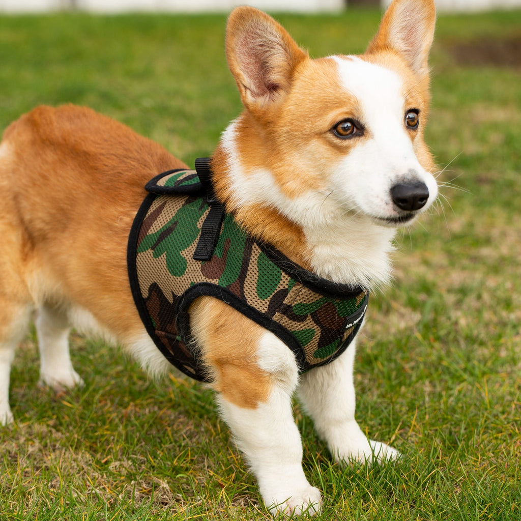 Mr. Peanut's PupTrek Soft Mesh Pet Harness with Matching Leash – Adjustable, Breathable, Choke-Free by Mr. Peanut's Pet Carriers