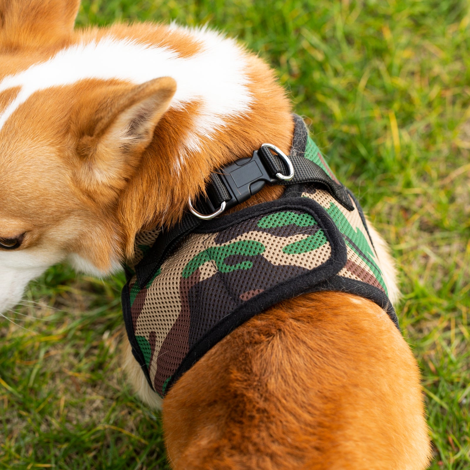 Mr. Peanut's PupTrek Soft Mesh Pet Harness with Matching Leash – Adjustable, Breathable, Choke-Free by Mr. Peanut's Pet Carriers