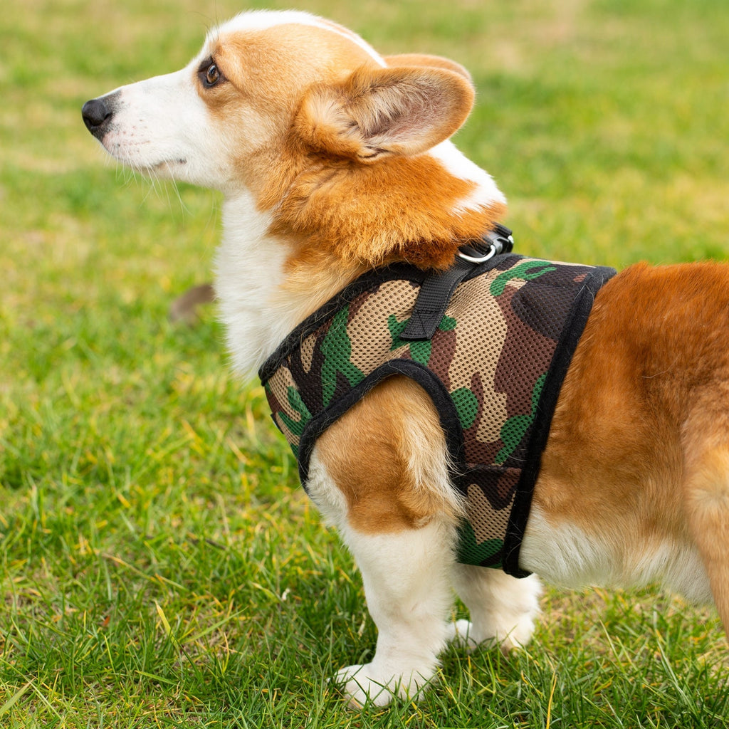 Mr. Peanut's PupTrek Soft Mesh Pet Harness with Matching Leash – Adjustable, Breathable, Choke-Free by Mr. Peanut's Pet Carriers