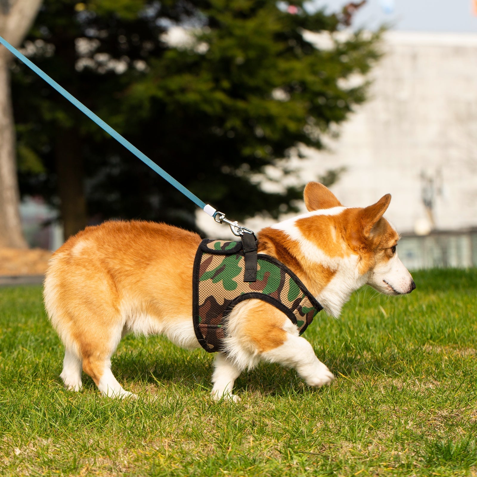 Mr. Peanut's PupTrek Soft Mesh Pet Harness with Matching Leash – Adjustable, Breathable, Choke-Free by Mr. Peanut's Pet Carriers