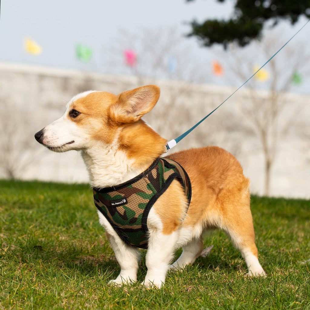 Mr. Peanut's PupTrek Soft Mesh Pet Harness with Matching Leash – Adjustable, Breathable, Choke-Free by Mr. Peanut's Pet Carriers