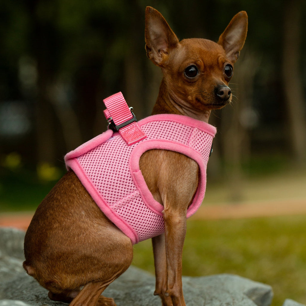 Mr. Peanut's PupTrek Soft Mesh Pet Harness with Matching Leash – Adjustable, Breathable, Choke-Free by Mr. Peanut's Pet Carriers