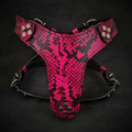 The ''Rock Python'' harness Small to Medium Size by Bestia Dog Gear