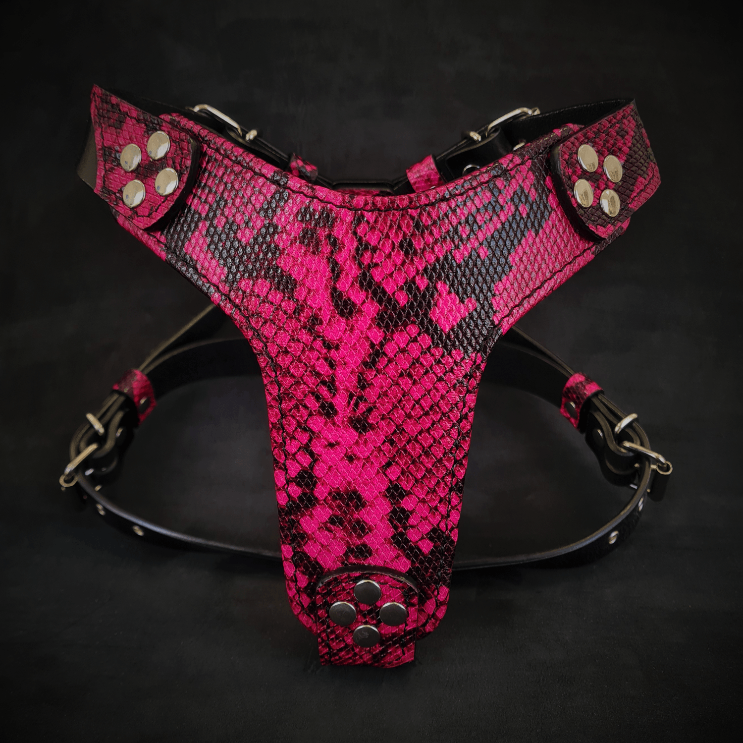 The ''Rock Python'' harness Small to Medium Size by Bestia Dog Gear