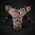 The ''Rock Python'' harness Small to Medium Size by Bestia Dog Gear