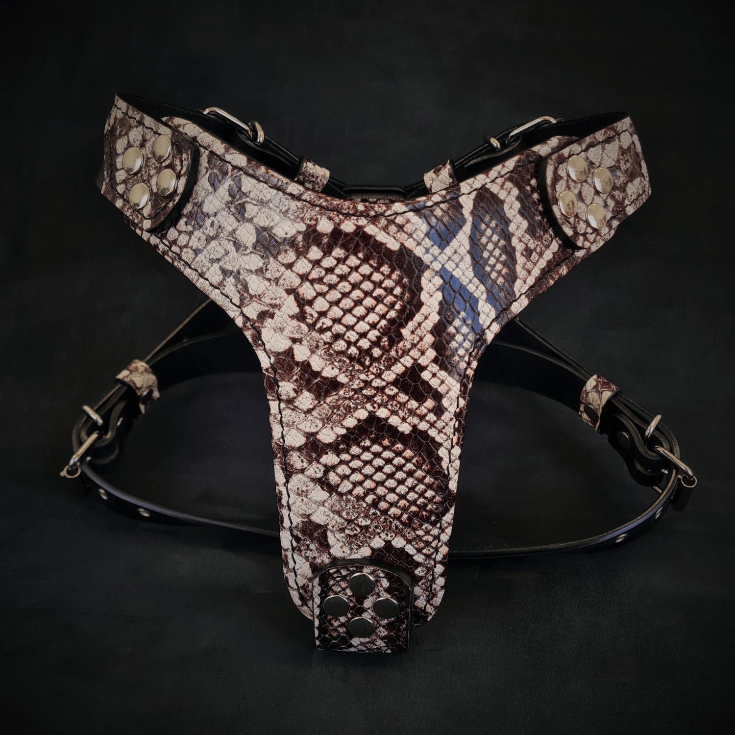 The ''Rock Python'' harness Small to Medium Size by Bestia Dog Gear
