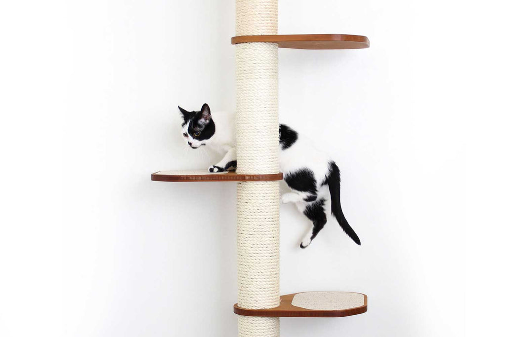 Wall Mounted Cat Climbing Pole - Sisal by Catastrophic Creations
