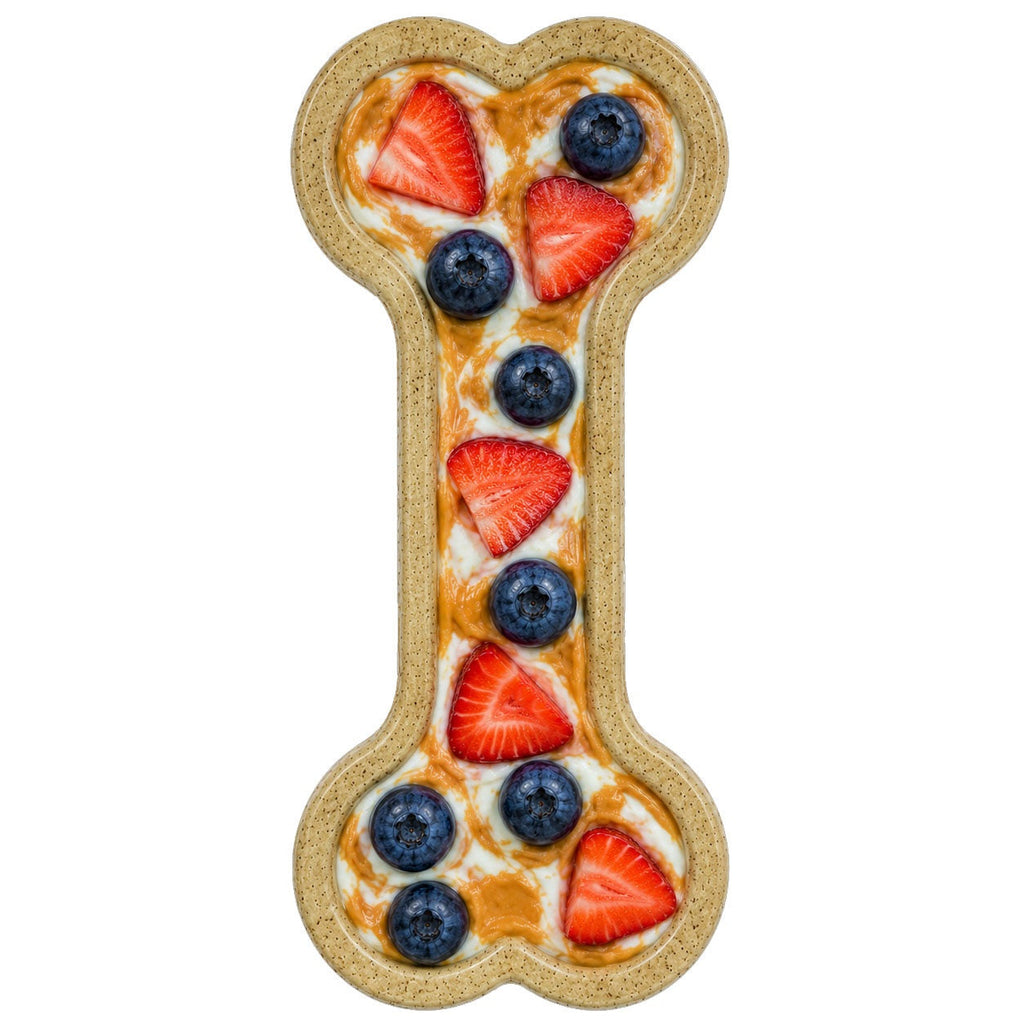 Bone eChew Ultra Durable Nylon Dog Chew Toy for Aggressive Chewers | USA Made by SodaPup/True Dogs, LLC