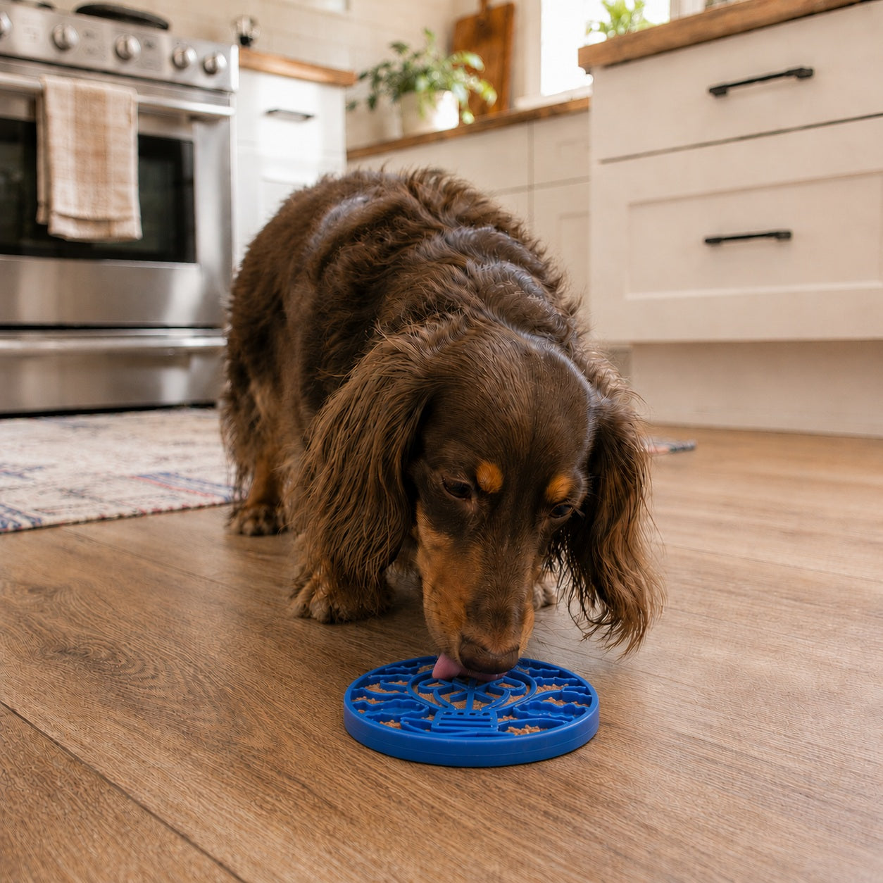 Air Nylon eCoin Lick Mat for Dogs - Durable Enrichment Toy | SodaPup by SodaPup/True Dogs, LLC