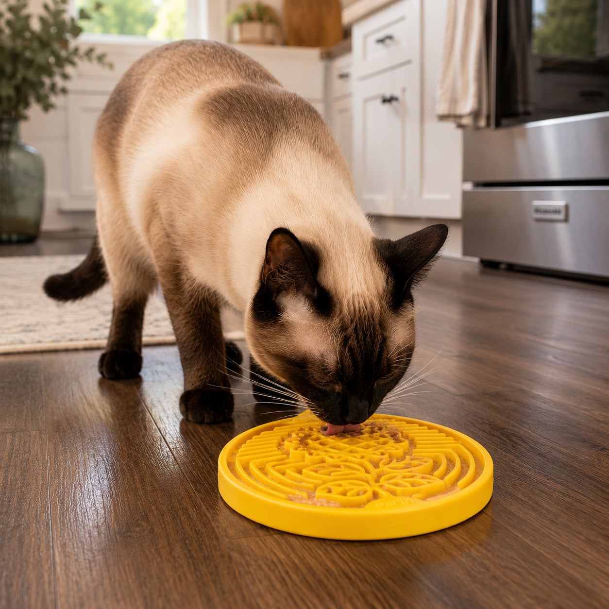 Earth eCoin Nylon Lick Mat for Dogs | USA Made Enrichment Toy | SodaPup by SodaPup/True Dogs, LLC