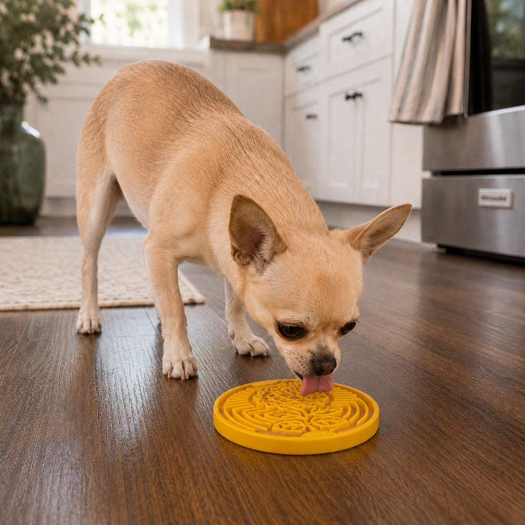 Earth eCoin Nylon Lick Mat for Dogs | USA Made Enrichment Toy | SodaPup by SodaPup/True Dogs, LLC