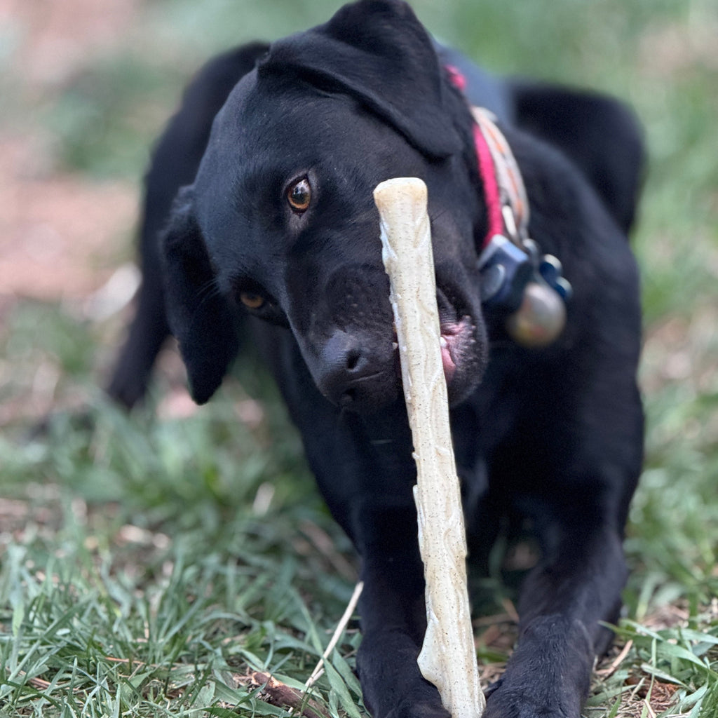 Durable Nylon Chew Stick for Power Chewers | Indestructible Dog Toy USA by SodaPup/True Dogs, LLC