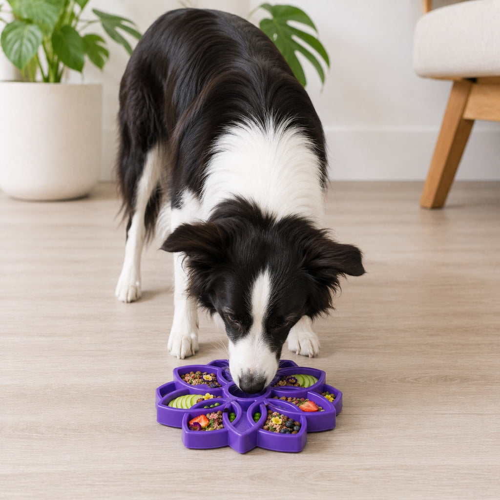 Mandala eTray Shallow Slow Feeder Dog Bowl for Enrichment | USA Made by SodaPup/True Dogs, LLC