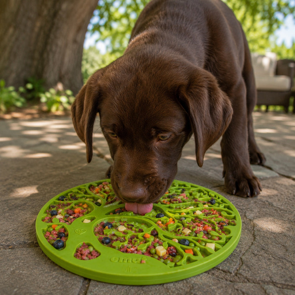 Tree of Life eMat - Enrichment Lick Mat For Dogs and Cats - With Suction Cups | Tree Design | USA Made by SodaPup/True Dogs, LLC