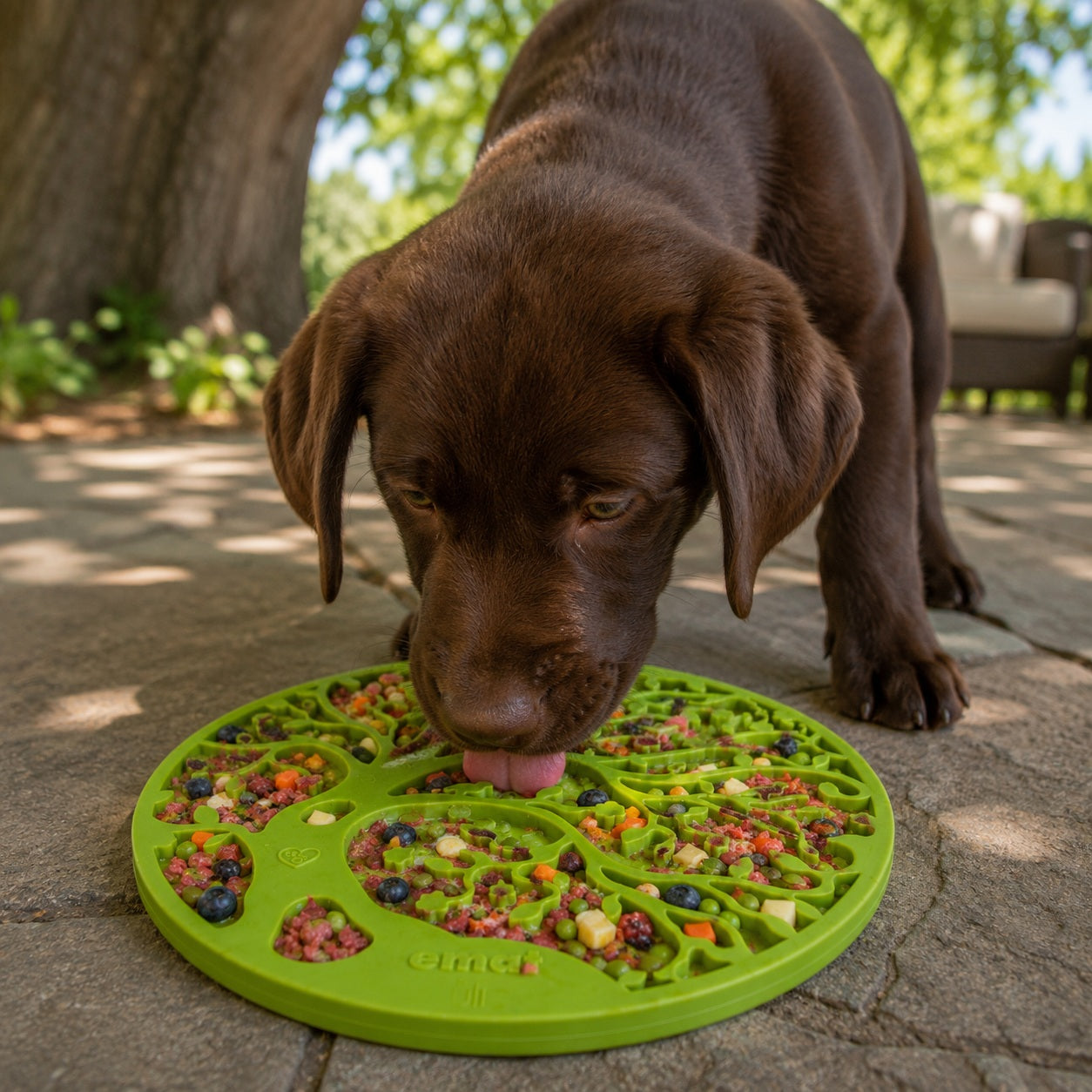 Tree of Life eMat - Enrichment Lick Mat For Dogs and Cats - With Suction Cups | Tree Design | USA Made by SodaPup/True Dogs, LLC