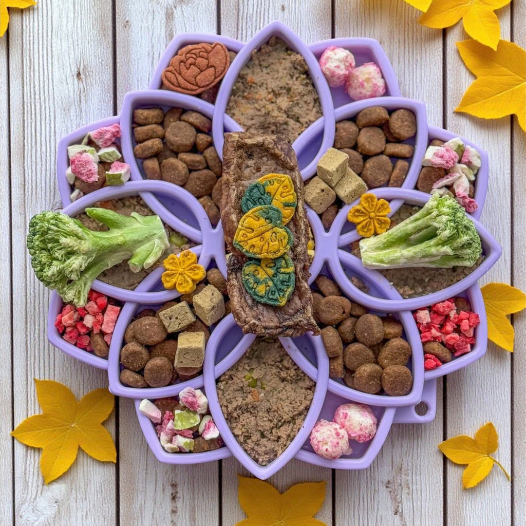 Mandala Softie eTray Shallow Slow Feeder Dog Bowl with Suction Cups | USA Made by SodaPup/True Dogs, LLC