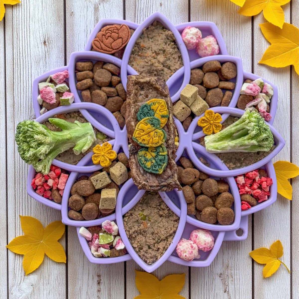 Mandala Softie eTray Shallow Slow Feeder Dog Bowl with Suction Cups | USA Made by SodaPup/True Dogs, LLC