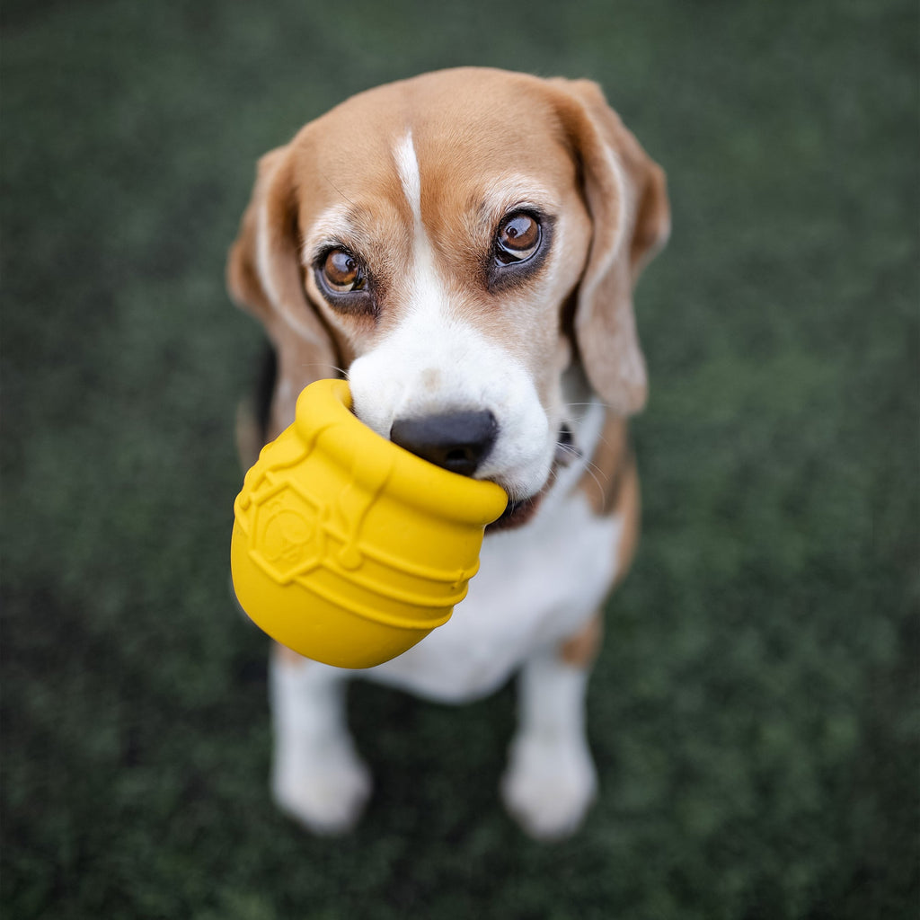 Honey Pot Dog eCup Treat Dispenser | Durable PUP-X Rubber Enrichment Toy | USA Made by SodaPup/True Dogs, LLC