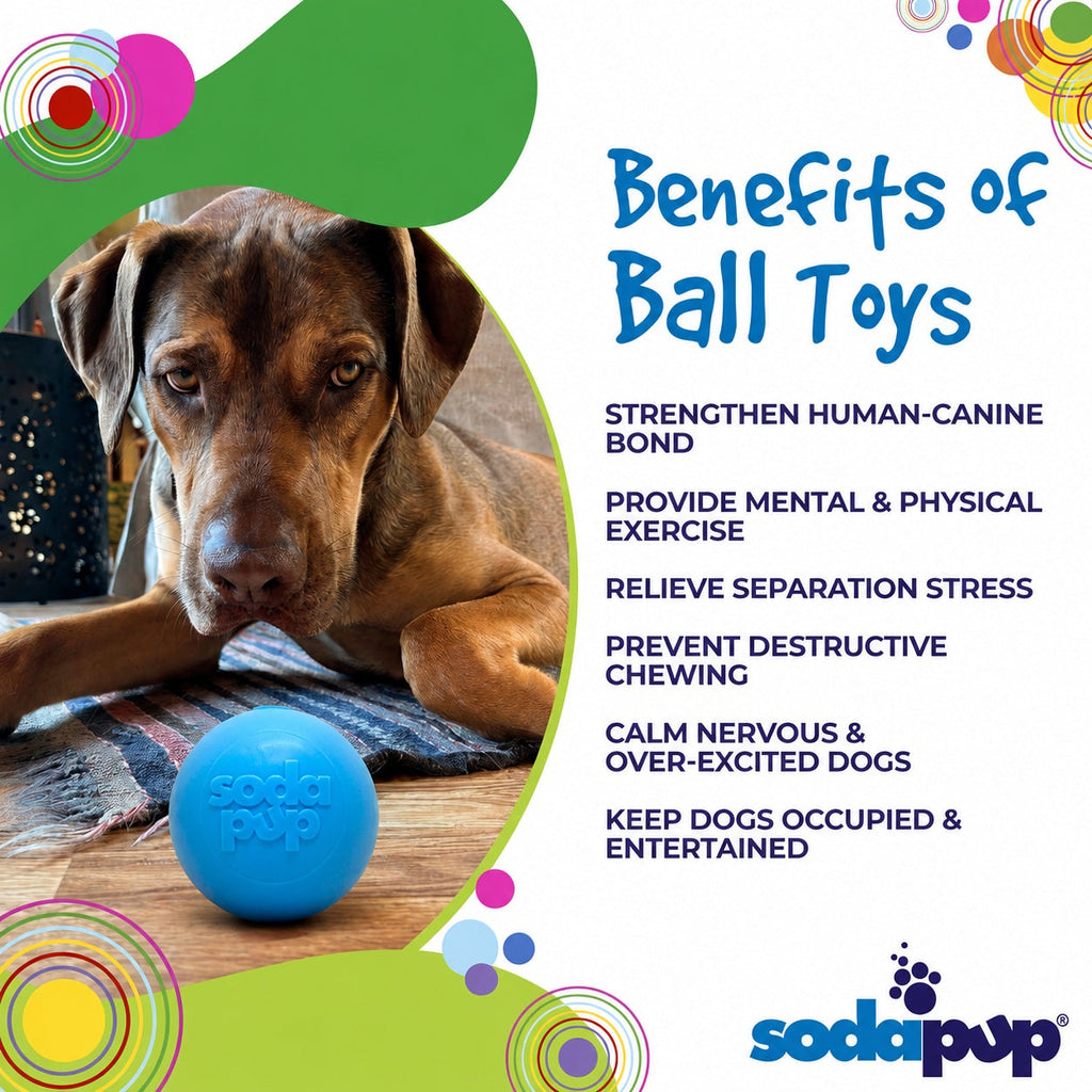Squeak Ball - Durable Squeaky Dog Toy, Floats, Chew Toy | USA Made by SodaPup/True Dogs, LLC
