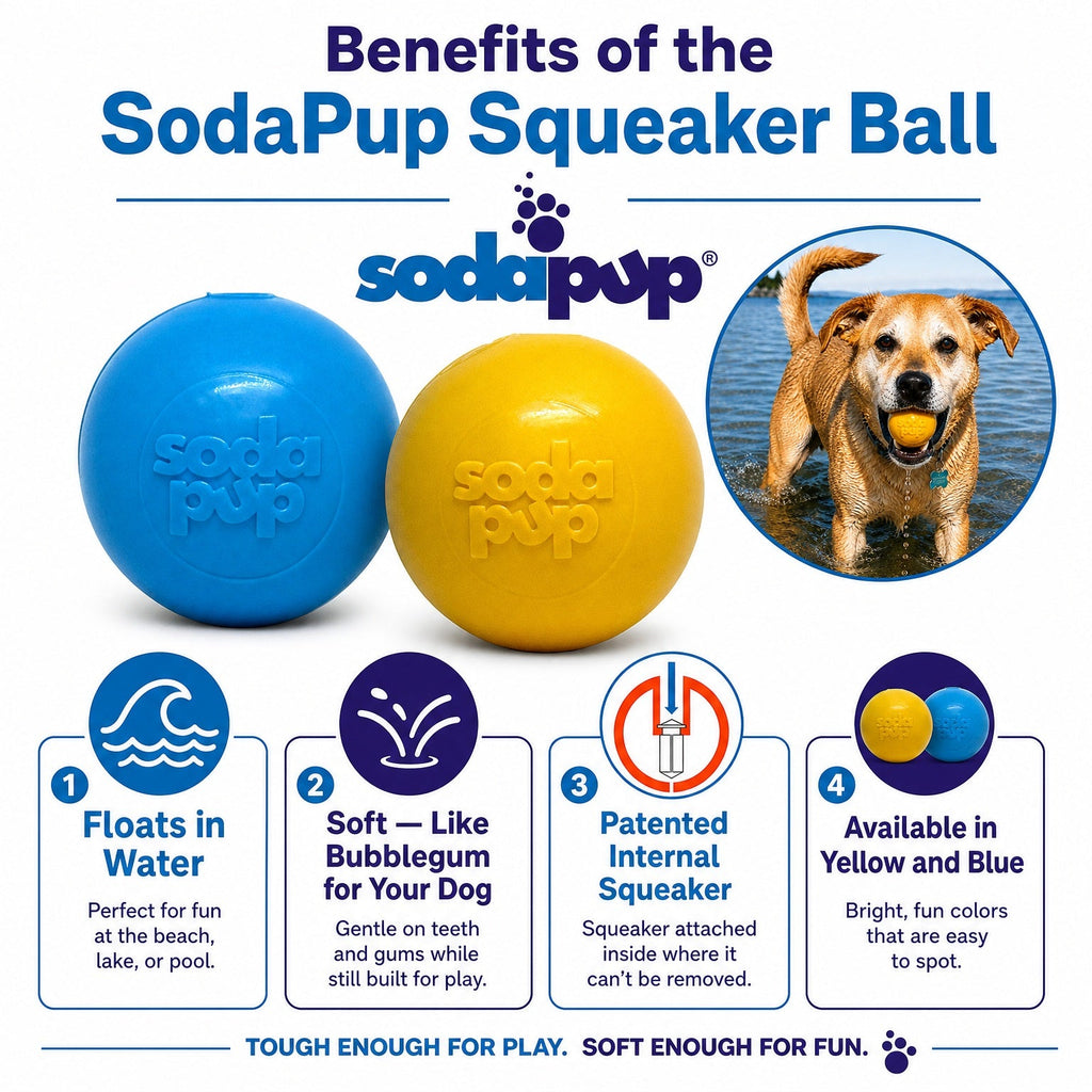 Squeak Ball - Durable Squeaky Dog Toy, Floats, Chew Toy | USA Made by SodaPup/True Dogs, LLC