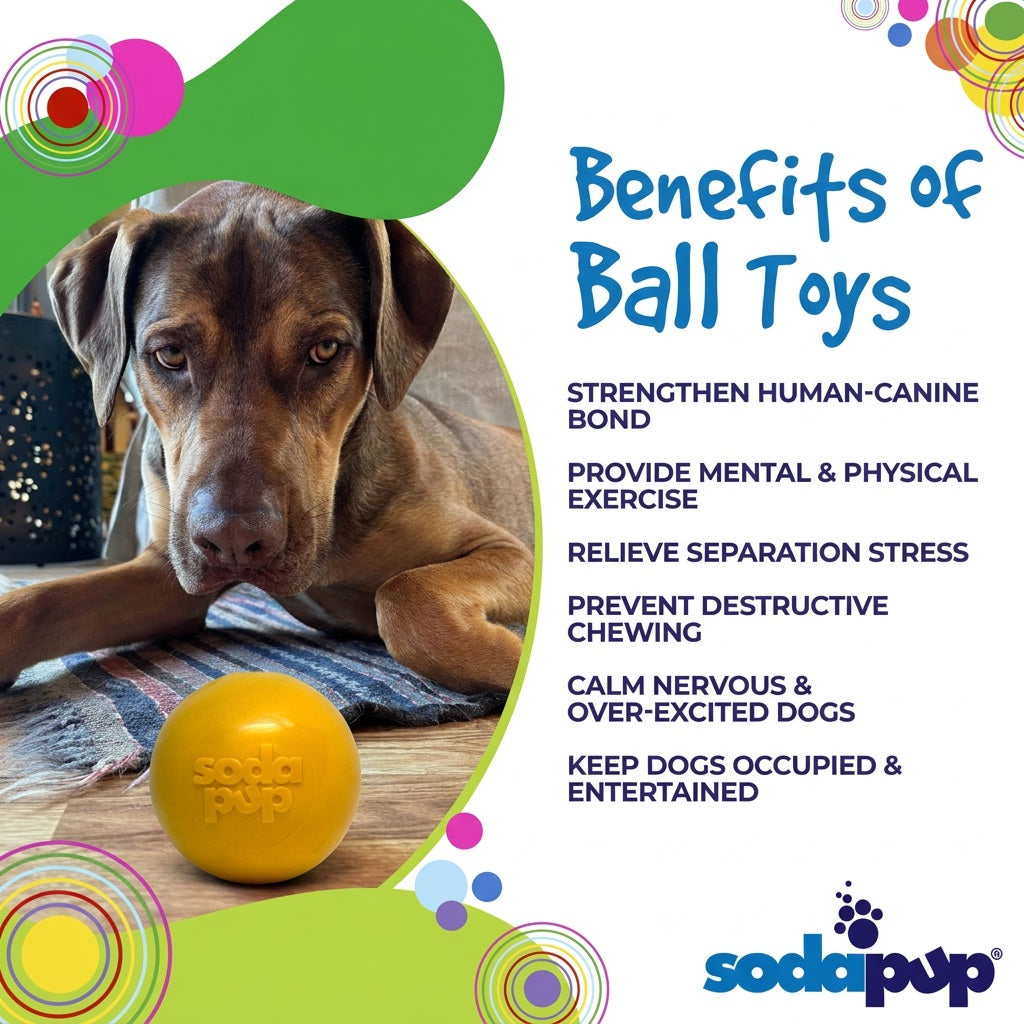 Squeak Ball - Durable Squeaky Dog Toy, Floats, Chew Toy | USA Made by SodaPup/True Dogs, LLC