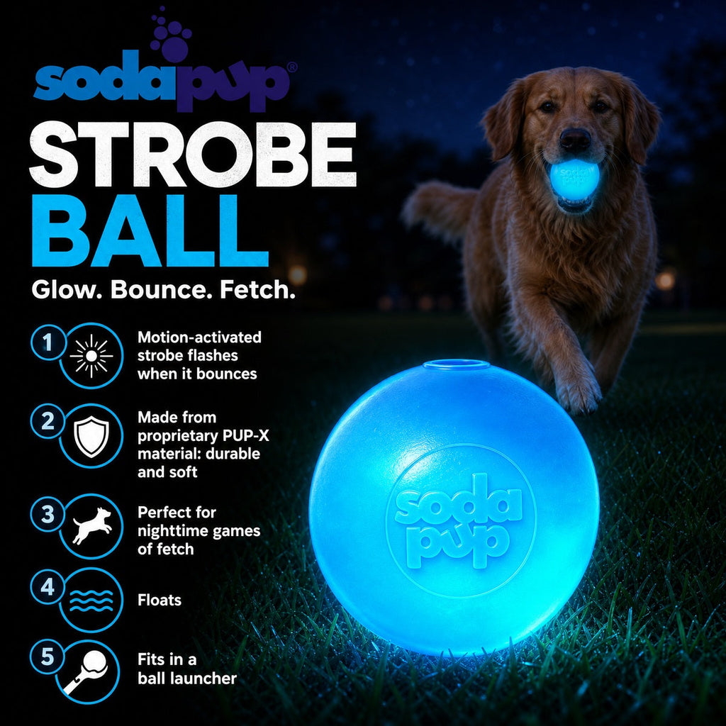 Strobe Ball Light-Up Dog Toy - Durable Floating Chew Ball | Made in USA by SodaPup/True Dogs, LLC