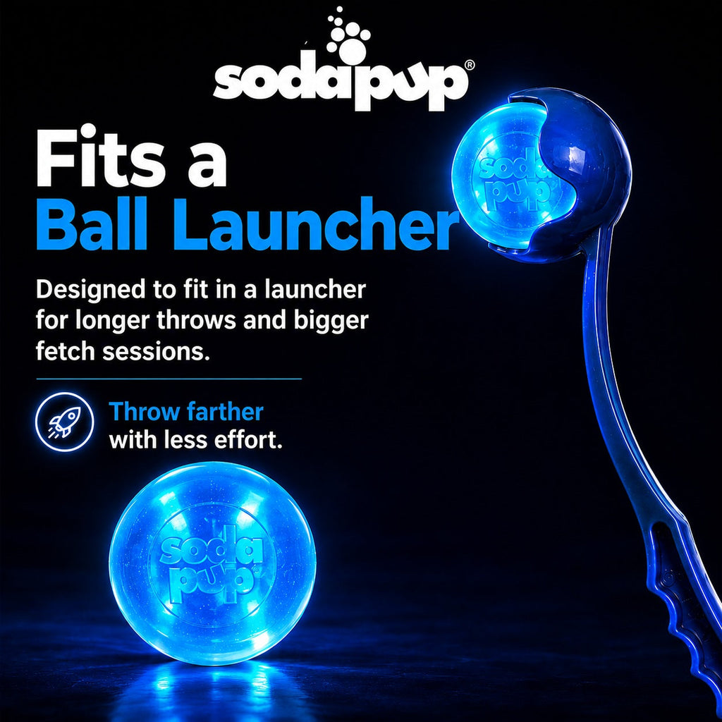 Strobe Ball Light-Up Dog Toy - Durable Floating Chew Ball | Made in USA by SodaPup/True Dogs, LLC