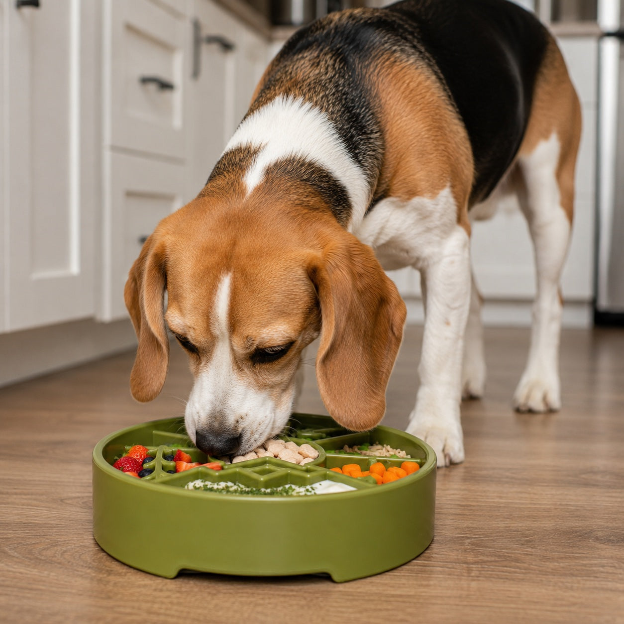 Great Outdoors eBowl - Slow Feeder Dog Bowl & Enrichment | USA Made by SodaPup/True Dogs, LLC