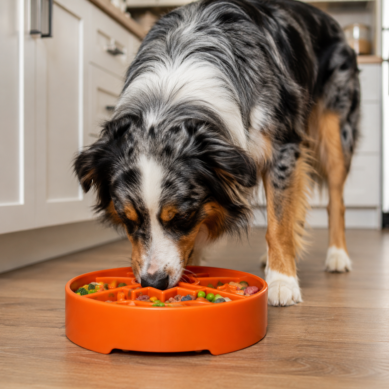 Great Outdoors eBowl - Slow Feeder Dog Bowl & Enrichment | USA Made by SodaPup/True Dogs, LLC