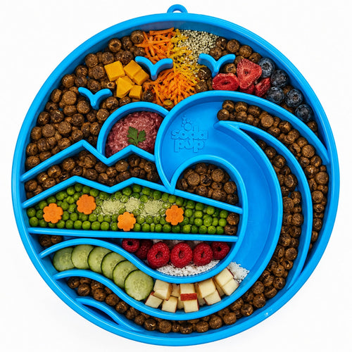 Baja Design eTray - Shallow Slow Feeder Dog Bowl for Enrichment | USA Made by SodaPup/True Dogs, LLC