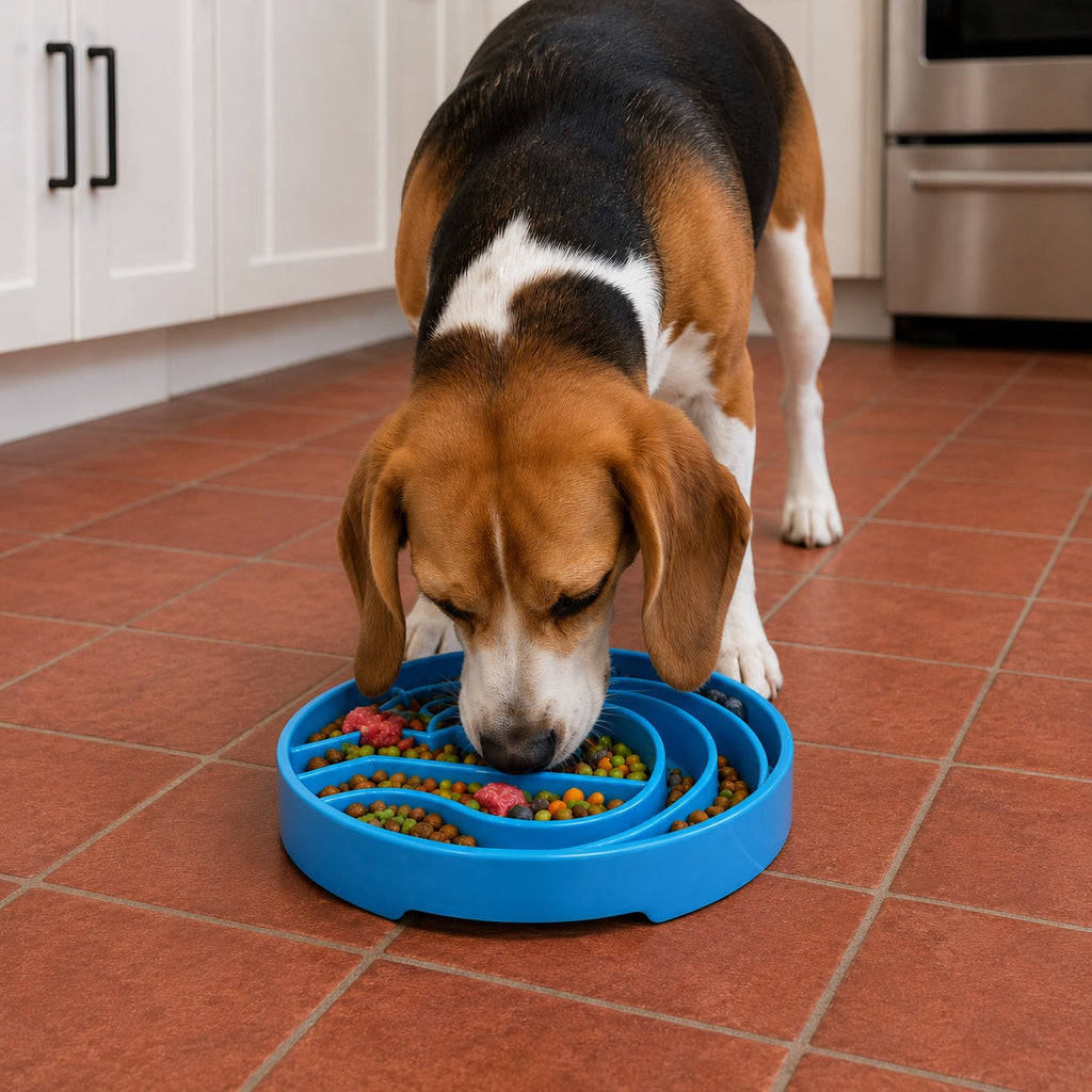 Baja Design eTray - Shallow Slow Feeder Dog Bowl for Enrichment | USA Made by SodaPup/True Dogs, LLC